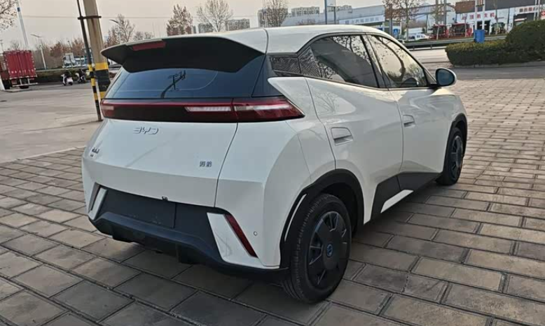 
								2024 BYD Seagull Electric Hatchback full									