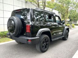 
										2023 Tank 300 2.0T 4WD full									