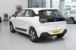 Dongfeng Nano 01 2022 Smart Electric Hatchback